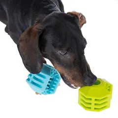 zooplus basics skanėstų kamuoliukų rinkinys iš TPR, Ø 7 cm — 5 nuotrauka
