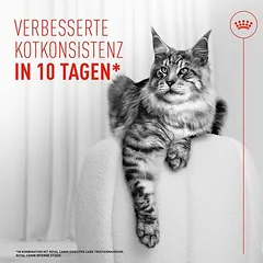 Royal Canin Digestive Care AirLift Mousse drėgnas maistas katėms