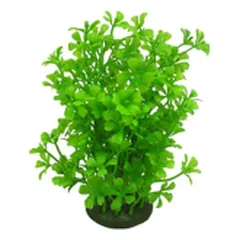 Aquael dirbtinis akvariumo augalas