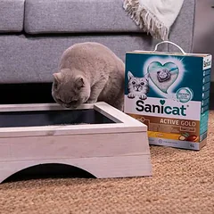 Sanicat Active Gold kraikas katėms, 6 l — 4 nuotrauka