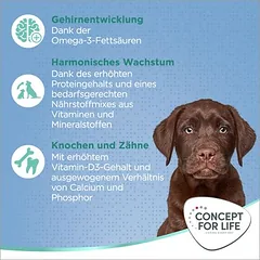 Concept for Life Large Puppy & Junior sausas maistas šuniukams, > 10 kg — 4 nuotrauka