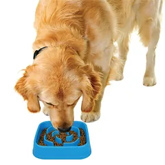 Dexas Slow Maze Feeder - Lėto maitinimo dubuo, labirinto dizainas, Niebieski / 946ml — 2 nuotrauka