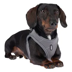 TIAKI Wave Vest petnešos, antracito spalvos — 3 nuotrauka
