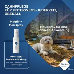 Plaqtiv+ Maulspray