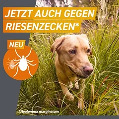 Frontpro kramtomoji tabletė nuo erkių ir blusų šunims 2–4 kg — 5 nuotrauka
