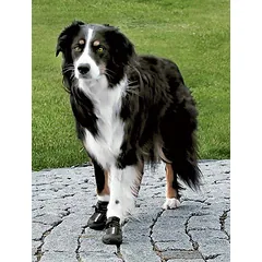 Trixie walker active apsauginiai batai šuniui, L, 2 vnt. — 3 nuotrauka