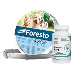 ELANCO Foresto Antkaklis katėms ir šunims sveriantiems mažiau nei 8kg + LAB-V Immuno Hard - imuniteto stiprinimas šunims ir katėms 45 kapsulės