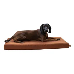 Kerbl Pet čiužinys šunims Memory Foam Oliver, rūdžių spalvos, L 60 x B 100 x H 8 cm — 2 nuotrauka