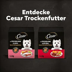 Cesar Adult su vištiena, lašiša ir daržovėmis, sausas maistas šunims, < 1,4 kg — 5 nuotrauka