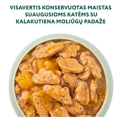 OPTIMEAL konservai suaugusioms katėms su kalakutiena ir moliūgų padažu 85g x 12 — 2 nuotrauka
