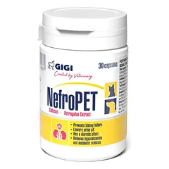 GiGi Nefro Pet papildai šunims ir katėms, 30 tabl.