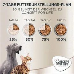 Concept for Life Maine Coon Adult sausas maistas katėms, > 10 kg — 5 nuotrauka