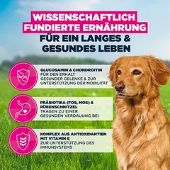 Eukanuba Premium Nutrition Senior Large & Giant Breed su ėriena ir ryžiais, sausas maistas šunims — 4 nuotrauka