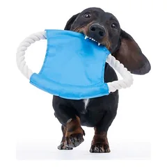 zooplus Basics Seil-Wurfscheibe, zooplus Basics Seil-Wurfscheibe ca. Ø 20 cm — 3 nuotrauka