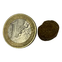 BIO FORM Best Quality Dog Adult 25/11,5 CENNAMO sausas maistas suaugusiems šunims, 20 kg — 4 nuotrauka