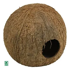 JBL Cocos Cava