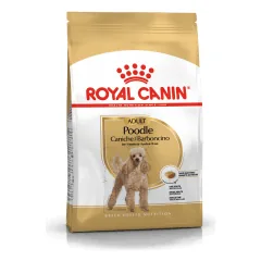 Royal Canin Poodle Adult sausas maistas šunims - Pet24