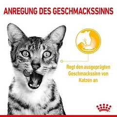 Royal Canin Sensory Smell Taste Feel Multipack padaže, drėgnas maistas katėms — 5 nuotrauka