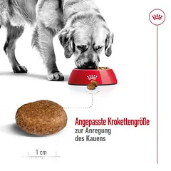 Royal Canin Maxi Adult 5+ sausas maistas šunims — 5 nuotrauka