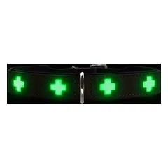 HUNTER Hundehalsband Swiss glow