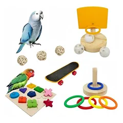 ZooVenture Vogeltrainingsspielzeug-Set