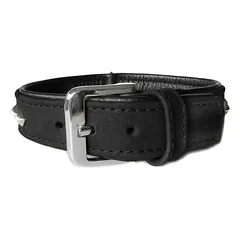 Das Lederband Hundehalsband Roma schwarz/schwarz