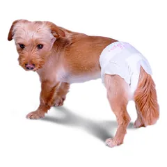 AssorbiPiu Diapers for dog M 12 pcs. — 5 nuotrauka