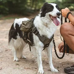 Nomad Tales Tactical petnešos šunims, Dydis M: apie 76-91 cm Krūtinės apimtis — 5 nuotrauka