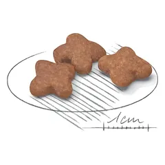 Royal Canin Dog Mini Adult 8+ visavertis pašaras mažų veislių šunims nuo 8 metų, 2 kg — 2 nuotrauka