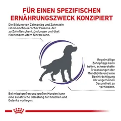 Royal Canin Expert Canine Dental Medium & Large Dog sausas maistas šunims — 2 nuotrauka