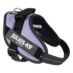 Julius-K9 IDC® Powerharness petnešos, violetinės