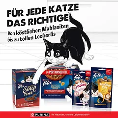 Felix „Sensations Extras“ maišeliai, drėgnas maistas katėms 24 x 85 g