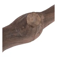 TIAKI Y formos paukščių kartelė Vynmedis, Dydis XL: apie Ø 3,5 x L 40 cm — 5 nuotrauka