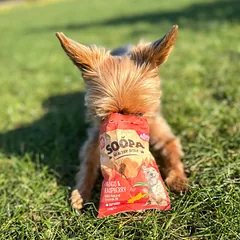 SOOPA Mango ir aviečių skanėstai šunims, Mango & Raspberry Dog Treats, 50g — 5 nuotrauka