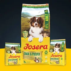 Josera A/S Duck + Potato begrūdis sausas pašaras šunims su antiena ir bulvėmis, 12,5 kg