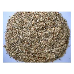 Deli Nature Premium lesalas banguotoms papūgoms, 800 g — 2 nuotrauka