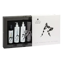 NANO SANITAS Silver line set kailio priežiūros rinkinys patinams