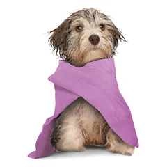 Record Dry Dog Towel - vėsinantis rankšluostis šunims ir katėms
