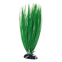 AMTRA ACORUS plastmasinis augalas mažas 10cm 1vnt