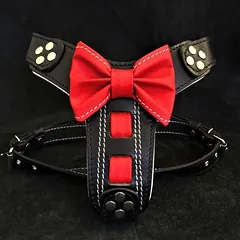 Bestia Hundegeschirr Bowtie