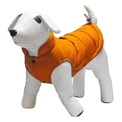 Beeztees Hundemantel Wisti orange