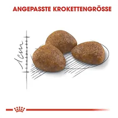 Royal Canin Outdoor 7+ sausas maistas katėms, > 10 kg — 3 nuotrauka