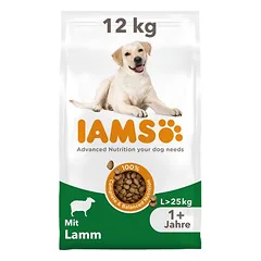 IAMS Advanced Nutrition Adult Large Dog su ėriena, sausas maistas šunims