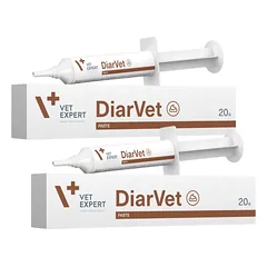 VETEXPERT Diarvet pasta šunims ir katėms 2x20g