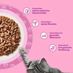 Didelė pakuotė Whiskas Junior paketėliai 96 x 85 g, drėgnas maistas katėms — 4 nuotrauka