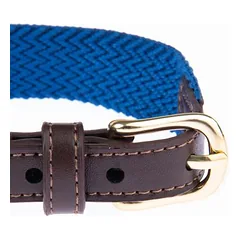 Nomad Tales Bloom antkaklis šunims, sapphire, Mažiems 5–10 kg — 4 nuotrauka
