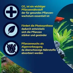 Tetra CO2 Plus, Tetra CO2 Plus Sparpaket: 2 x 250 ml — 1 nuotrauka