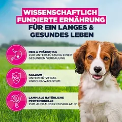 Eukanuba Premium Nutrition Puppy Small & Medium Breed su ėriena ir ryžiais, sausas maistas šuniukams, 3 - 4,9 kg — 5 nuotrauka