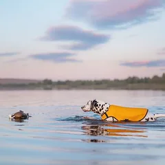 Rukka žaislas šunims Plūduriuojantis vėplys