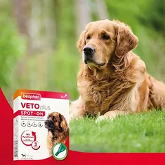 beaphar VETOplus SPOT-ON dideliems šunims — 2 nuotrauka